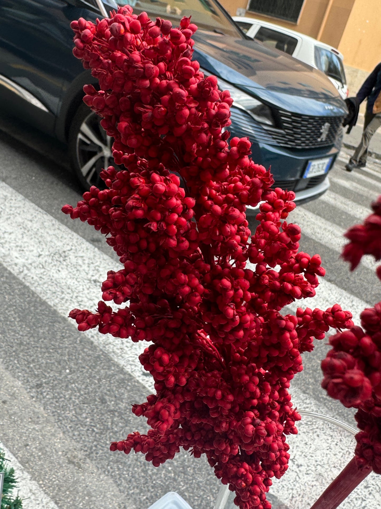 Fiori secchi naturali