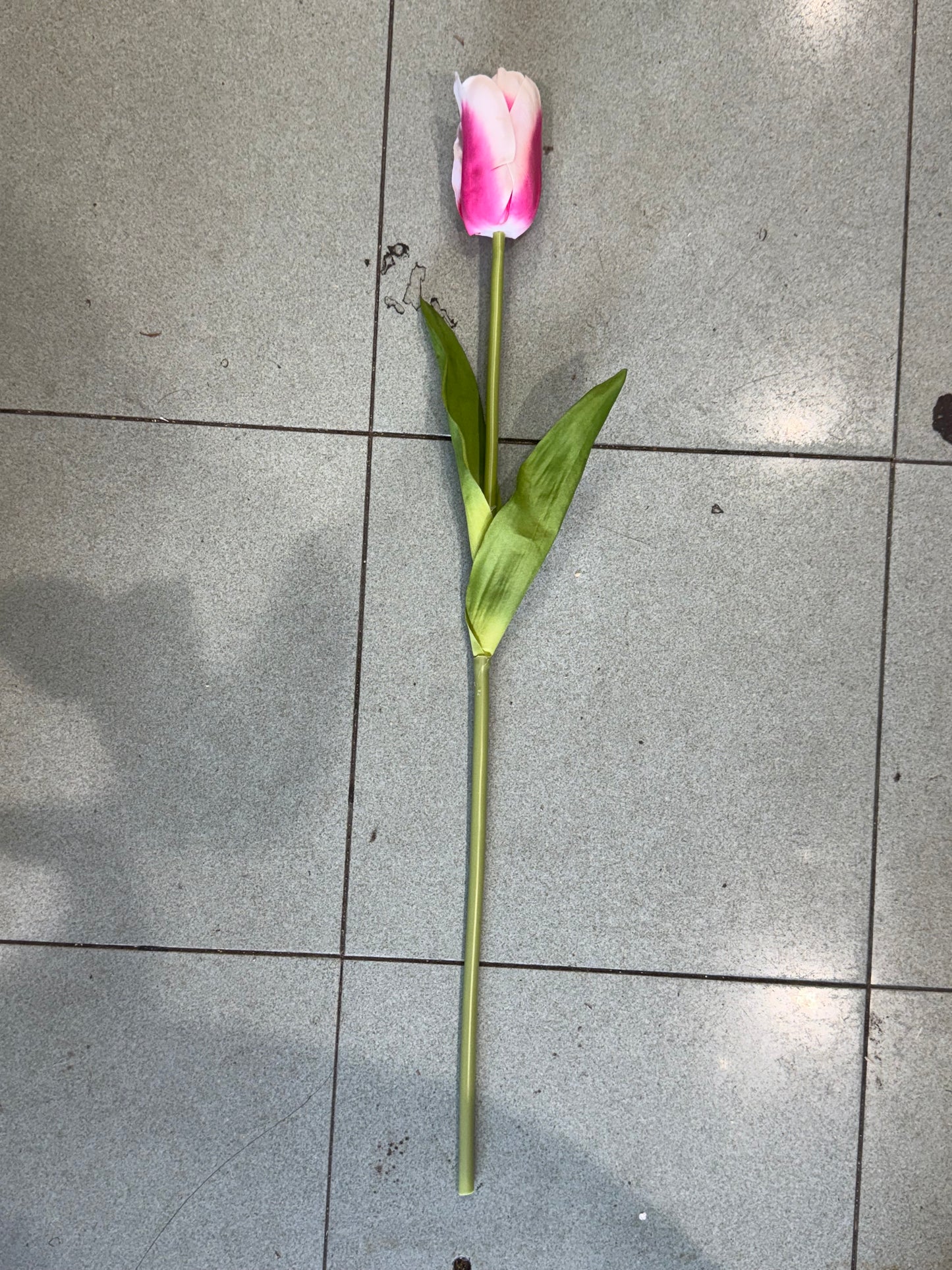 Tulipano touch