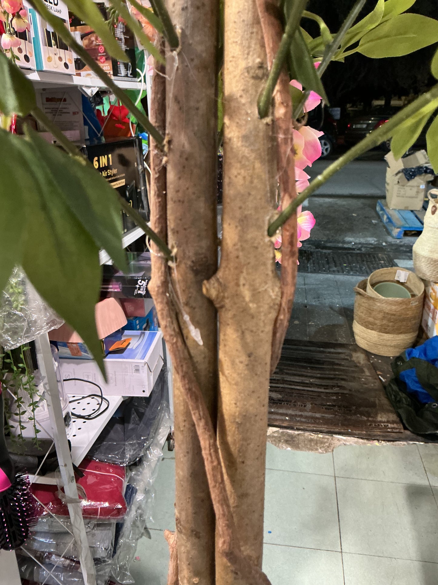 Pianta di glicine 135 cm escluso di vaso