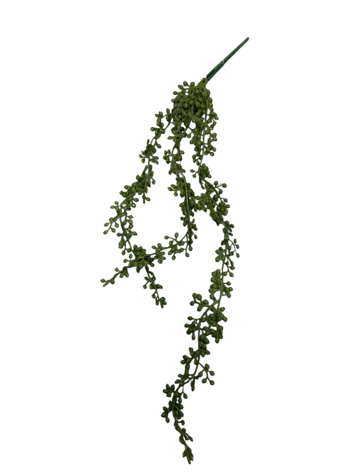 Pendente pianta grassa