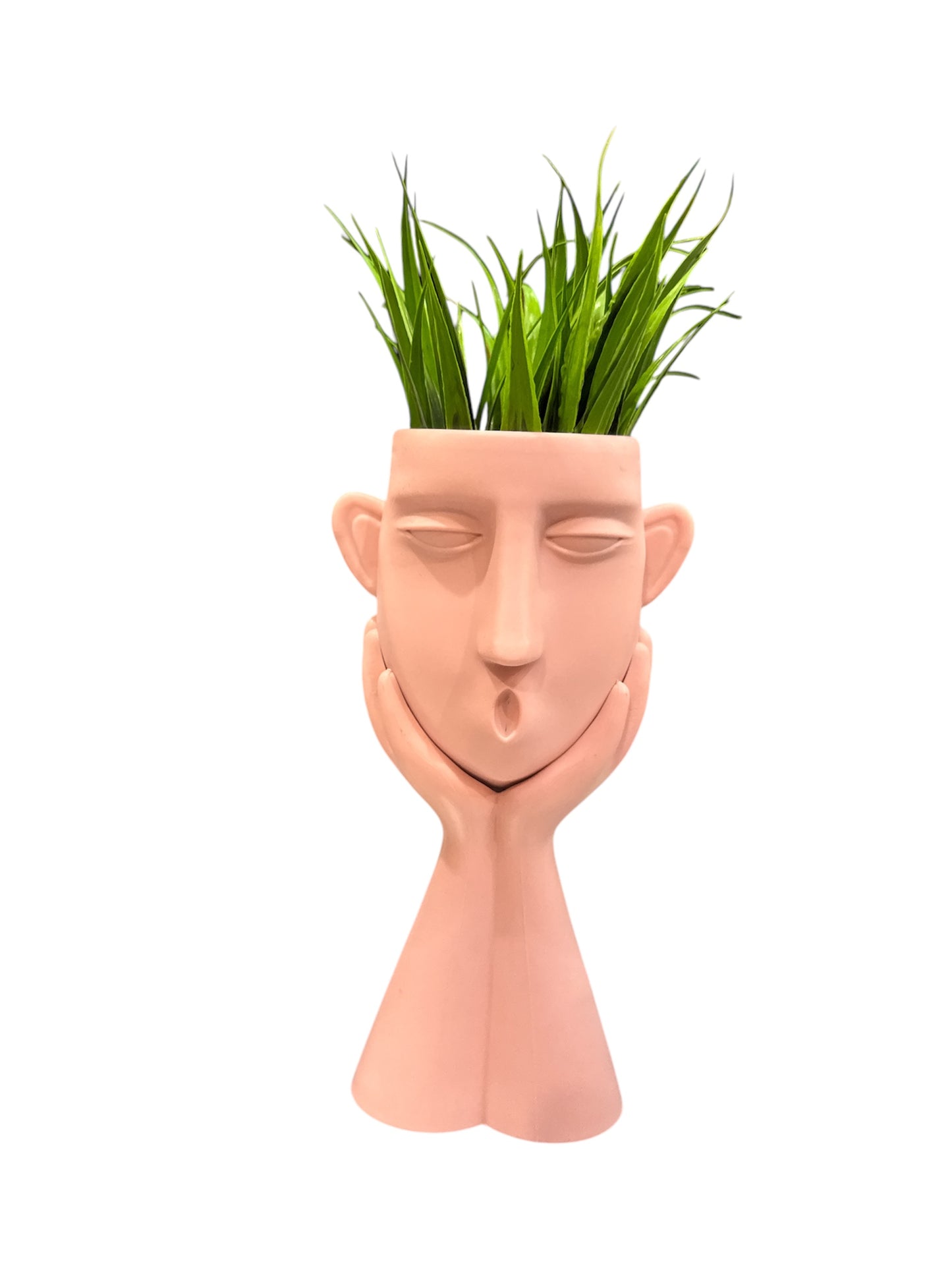 Pianta