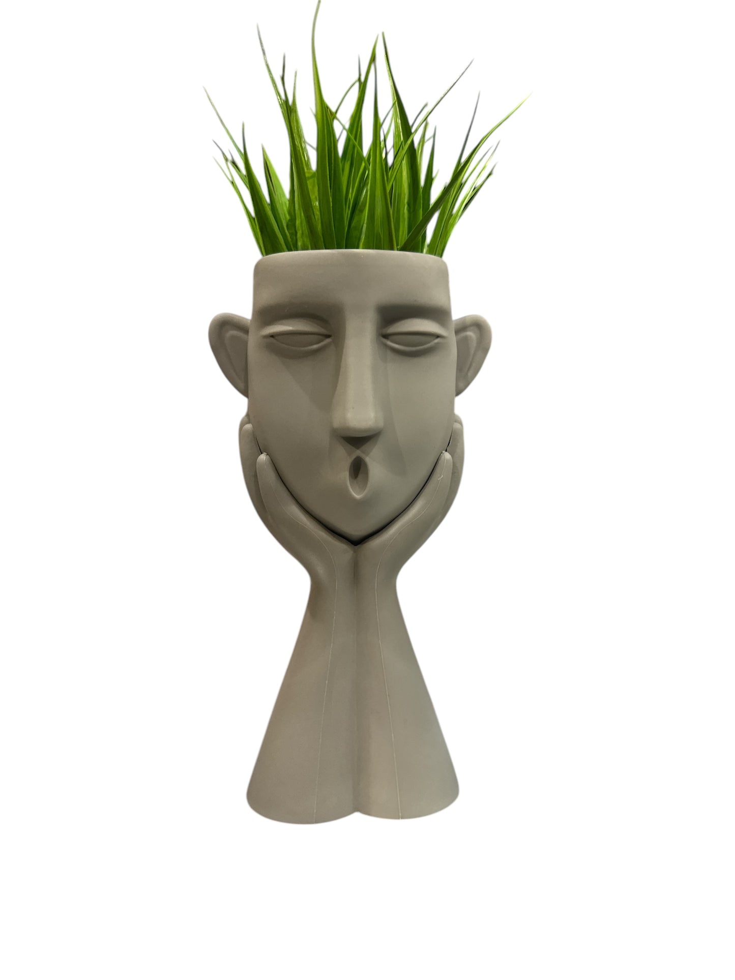 Pianta
