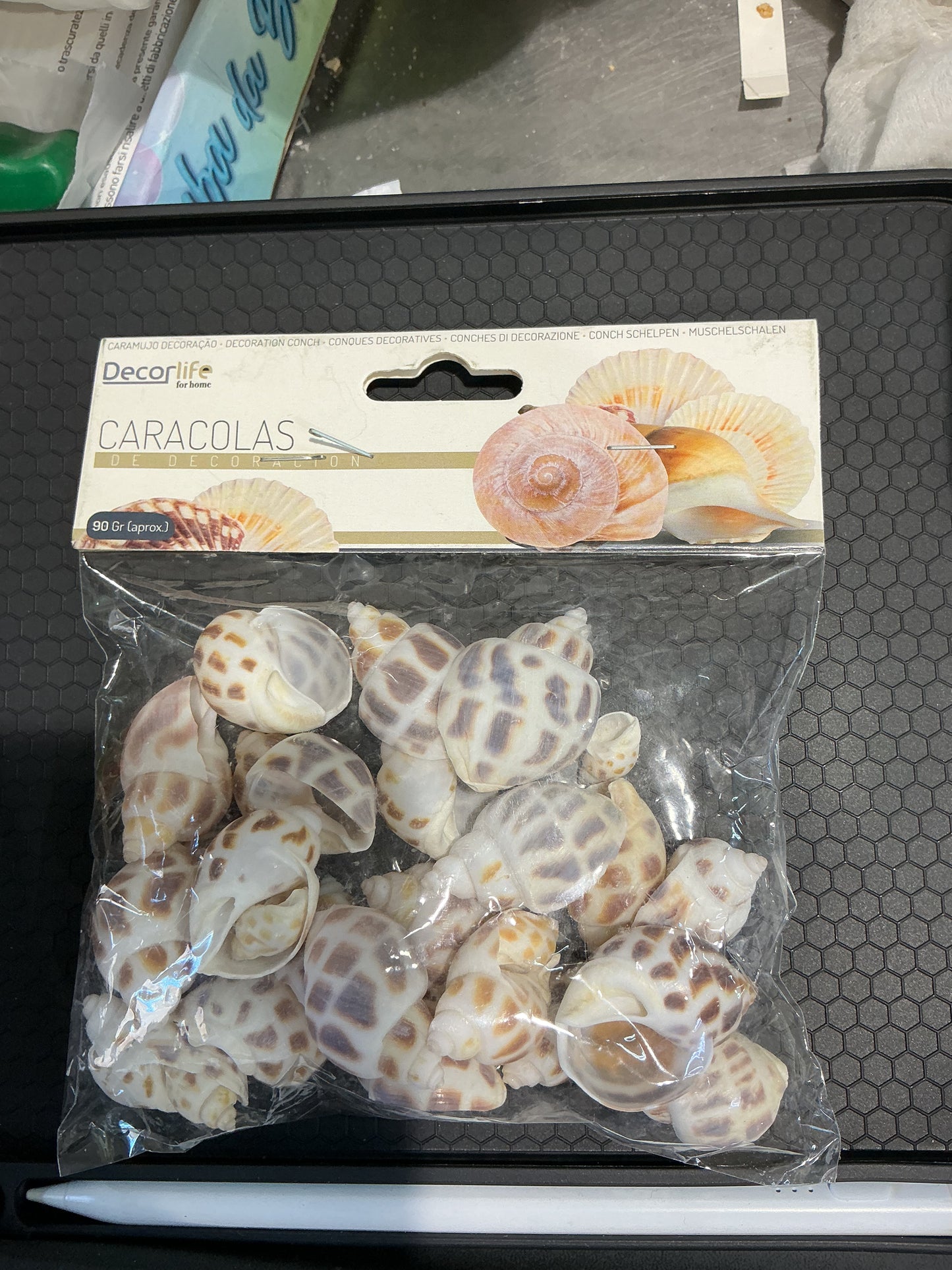 Conchiglie