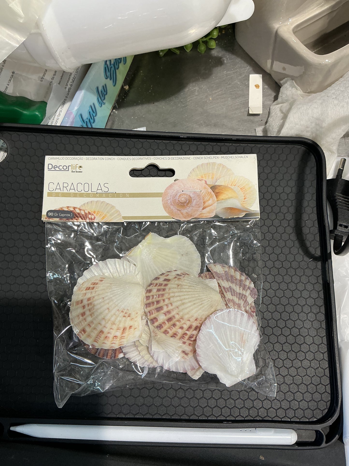 Conchiglie