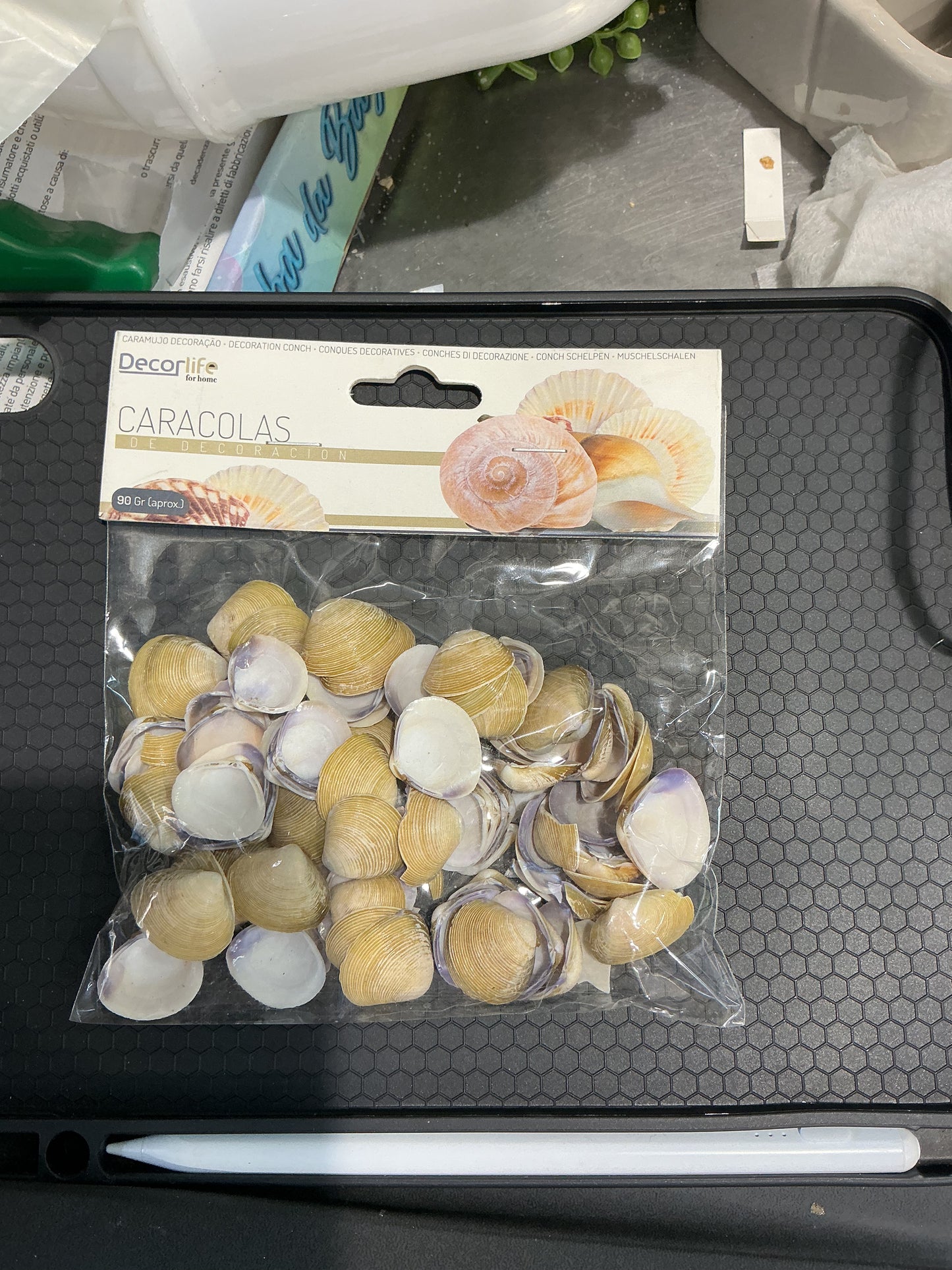 Conchiglie