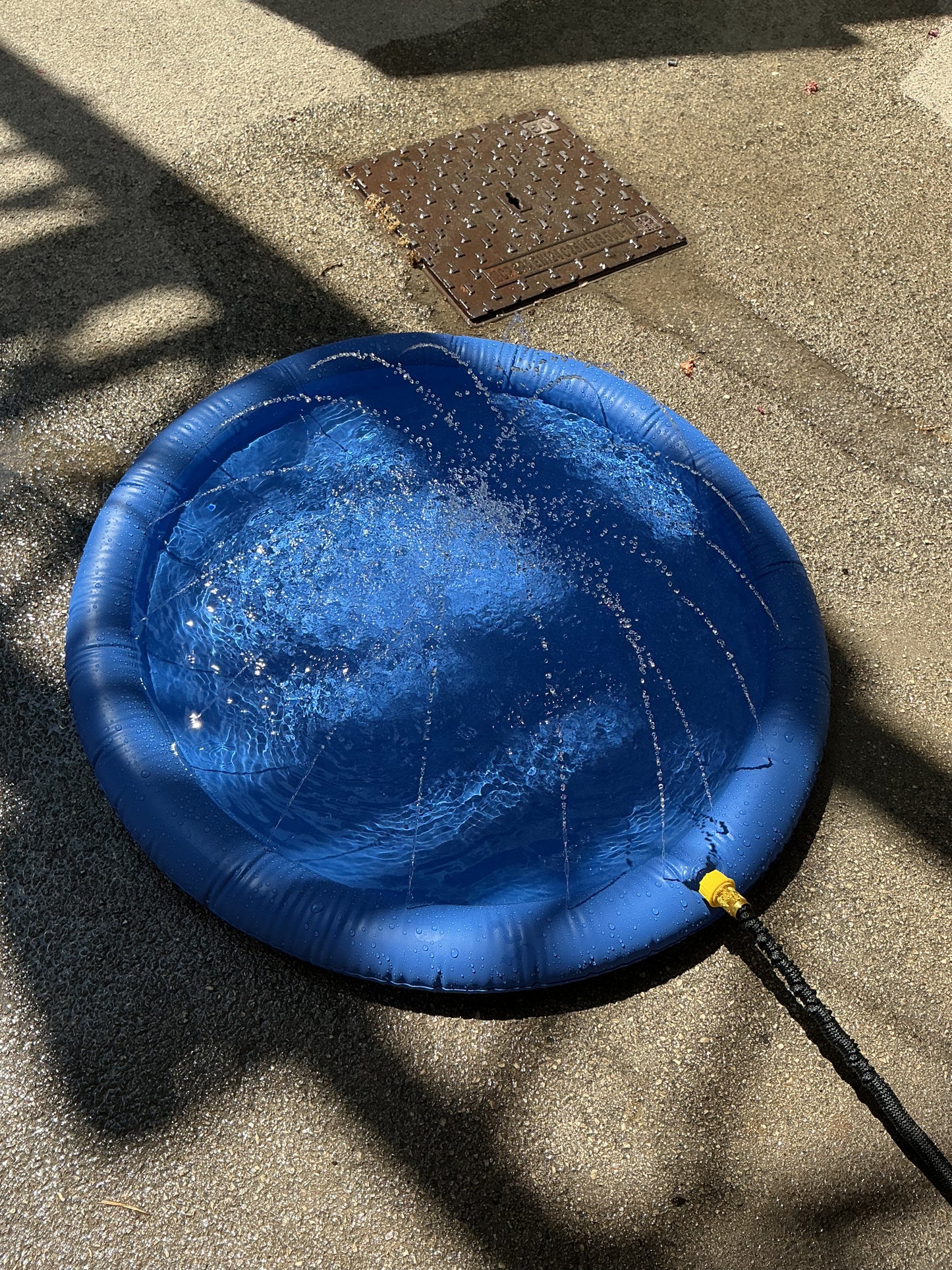 Piscina pet con fontana