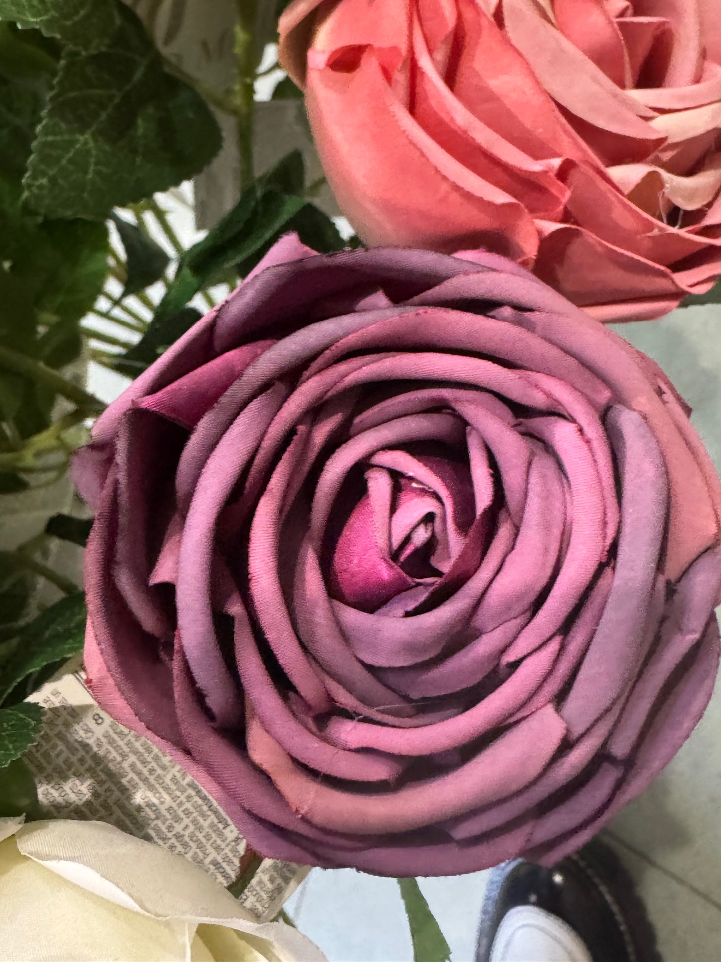 Rosa