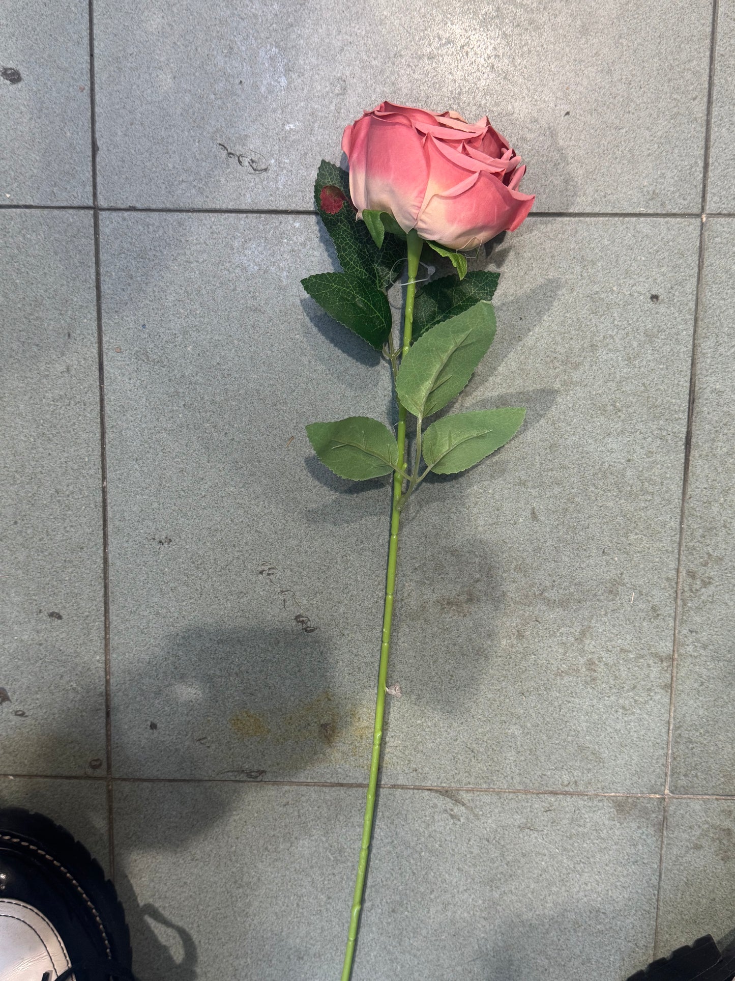 Rosa