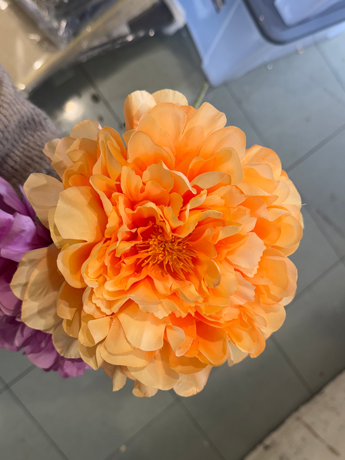 Peonia