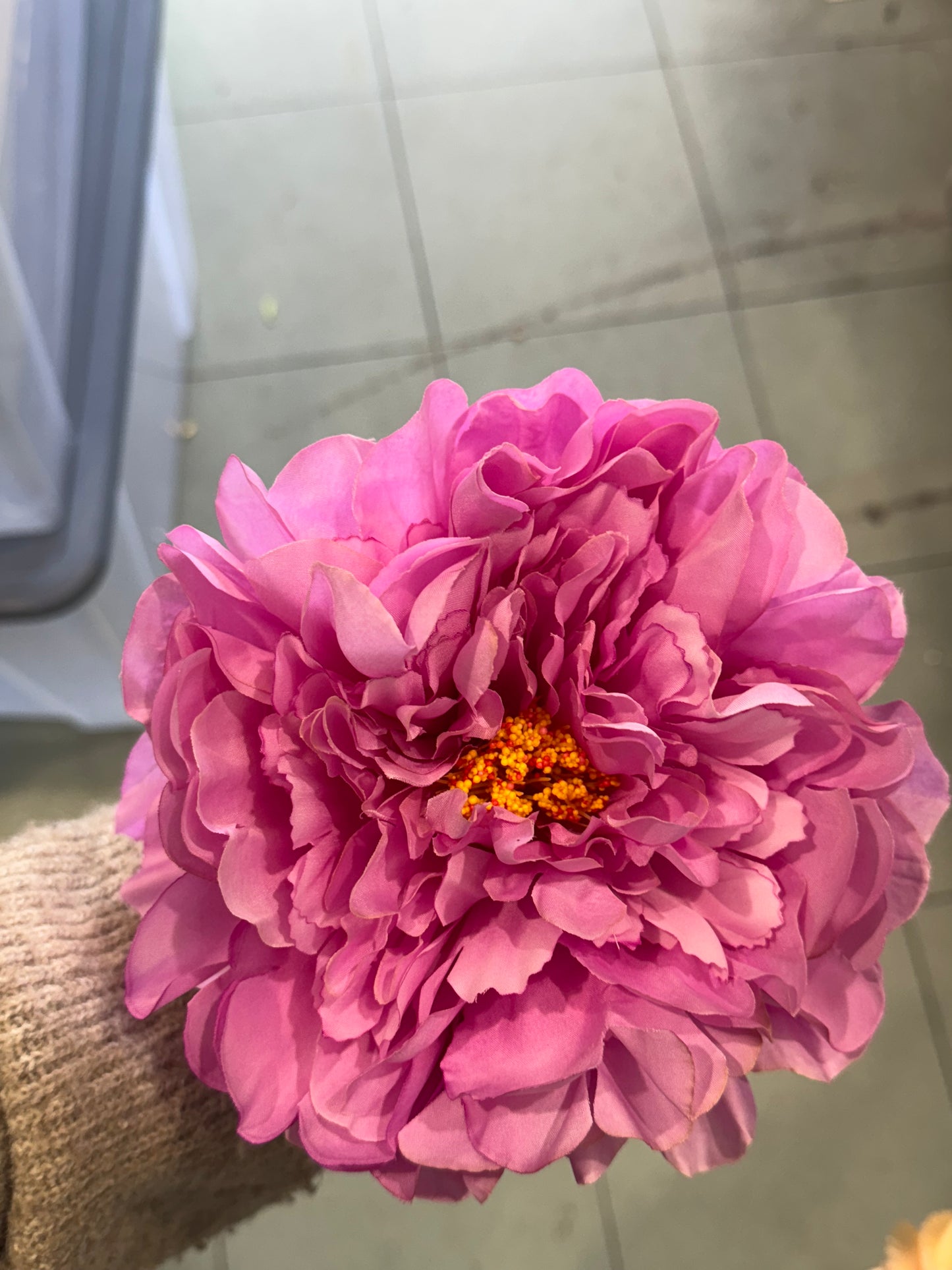 Peonia