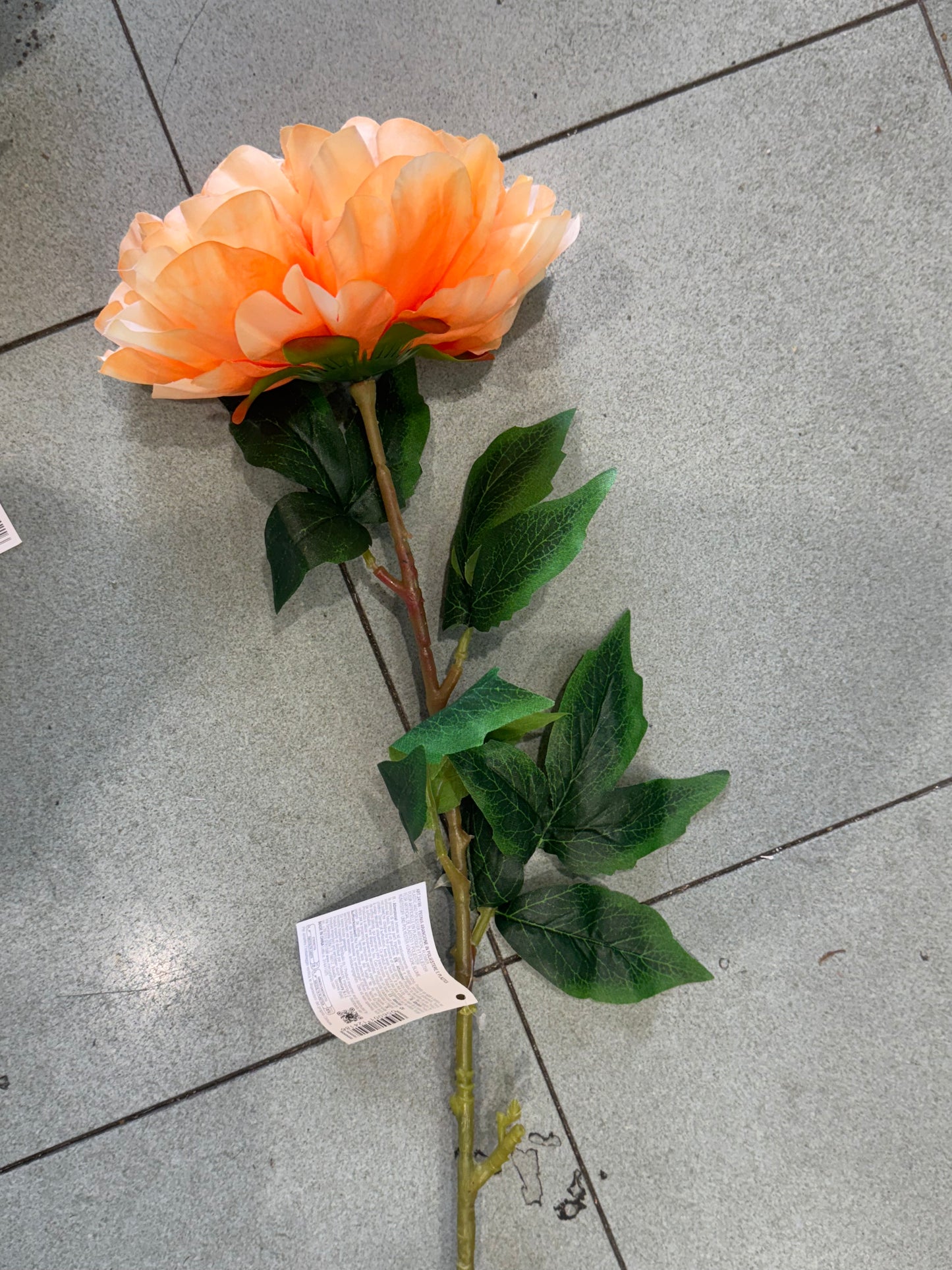 Peonia