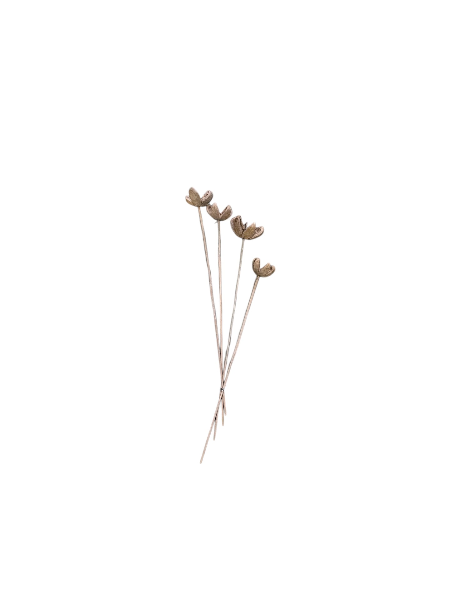 Fiori secchi naturali