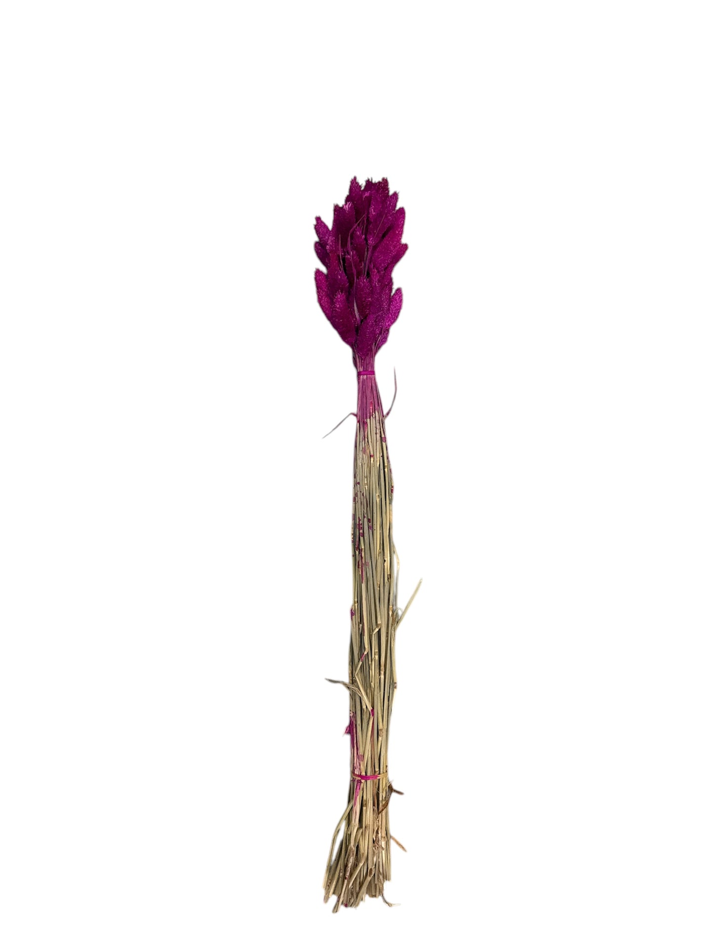 Fiori