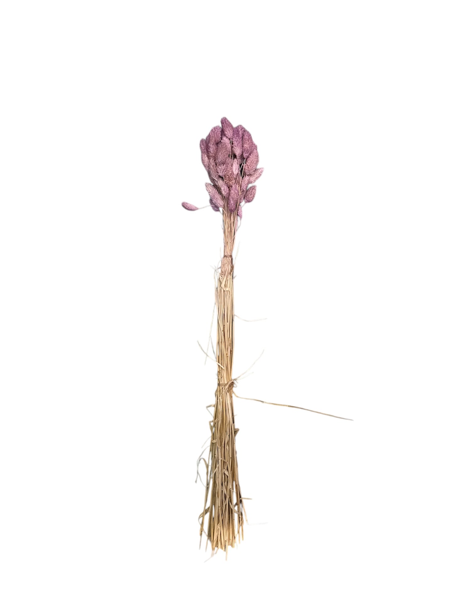 Fiori
