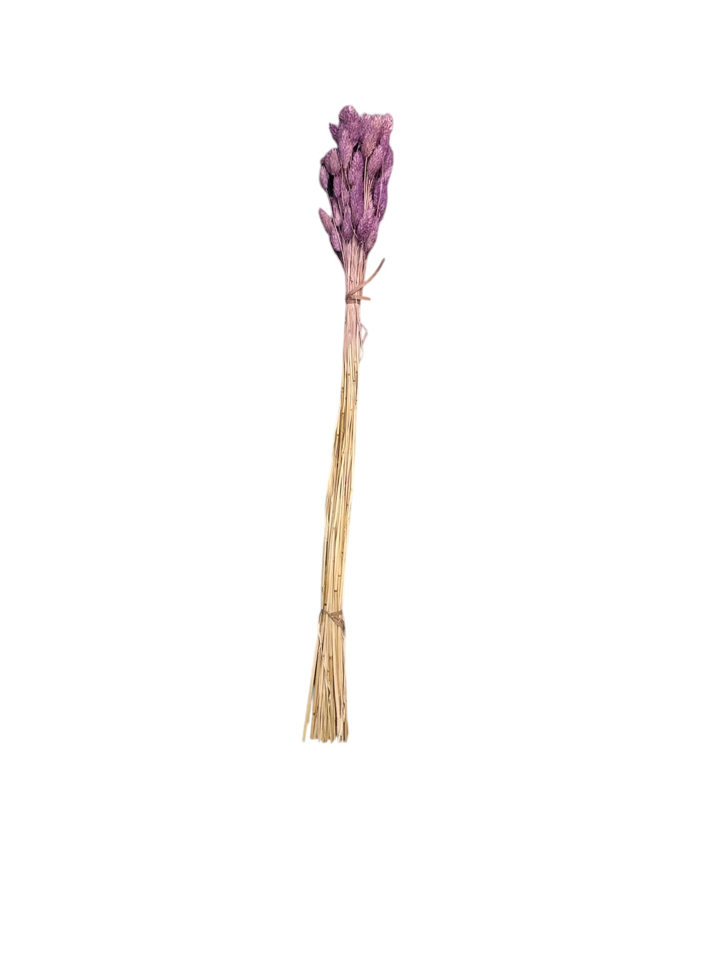 Fiori