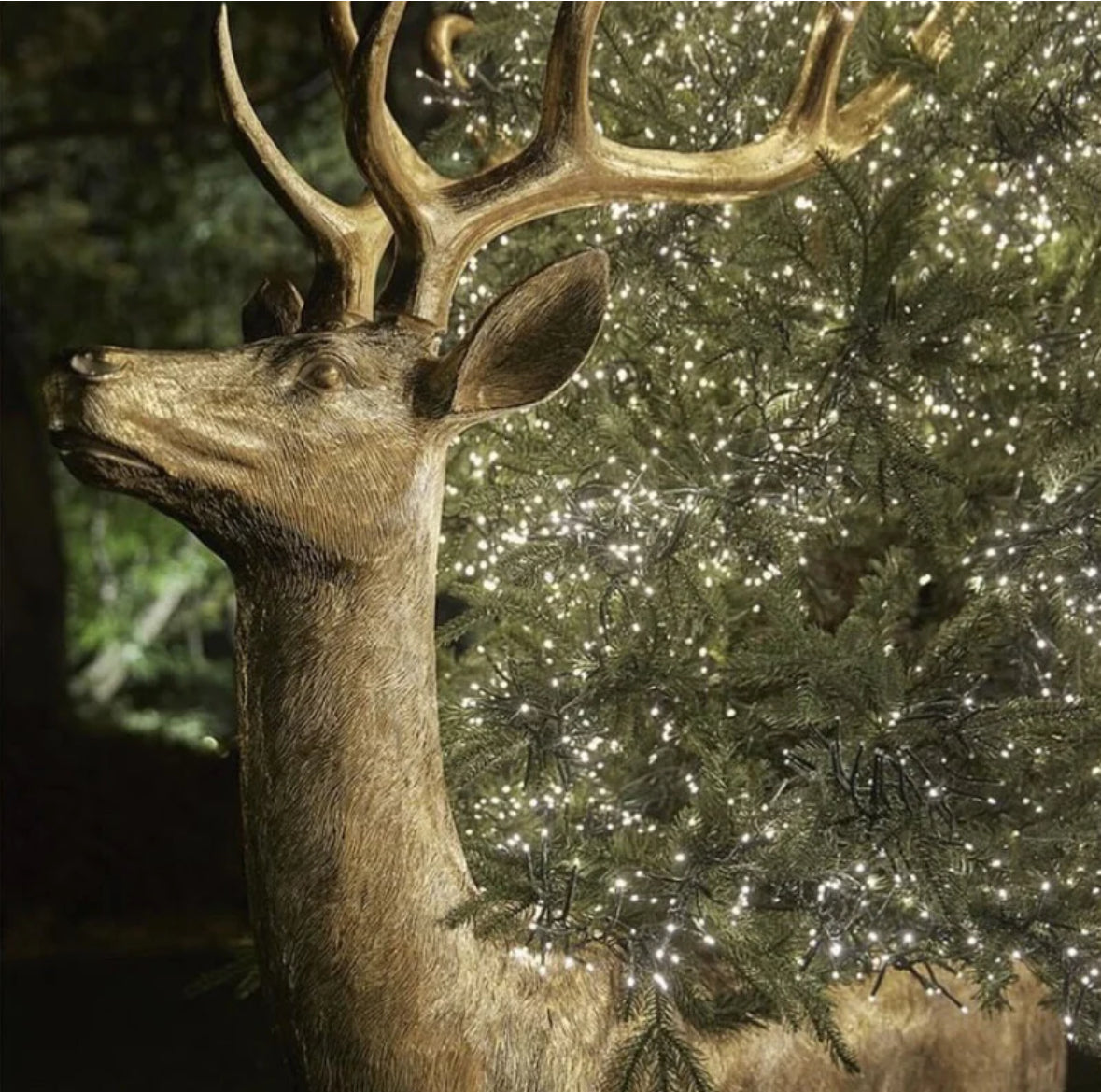 Natale is coming