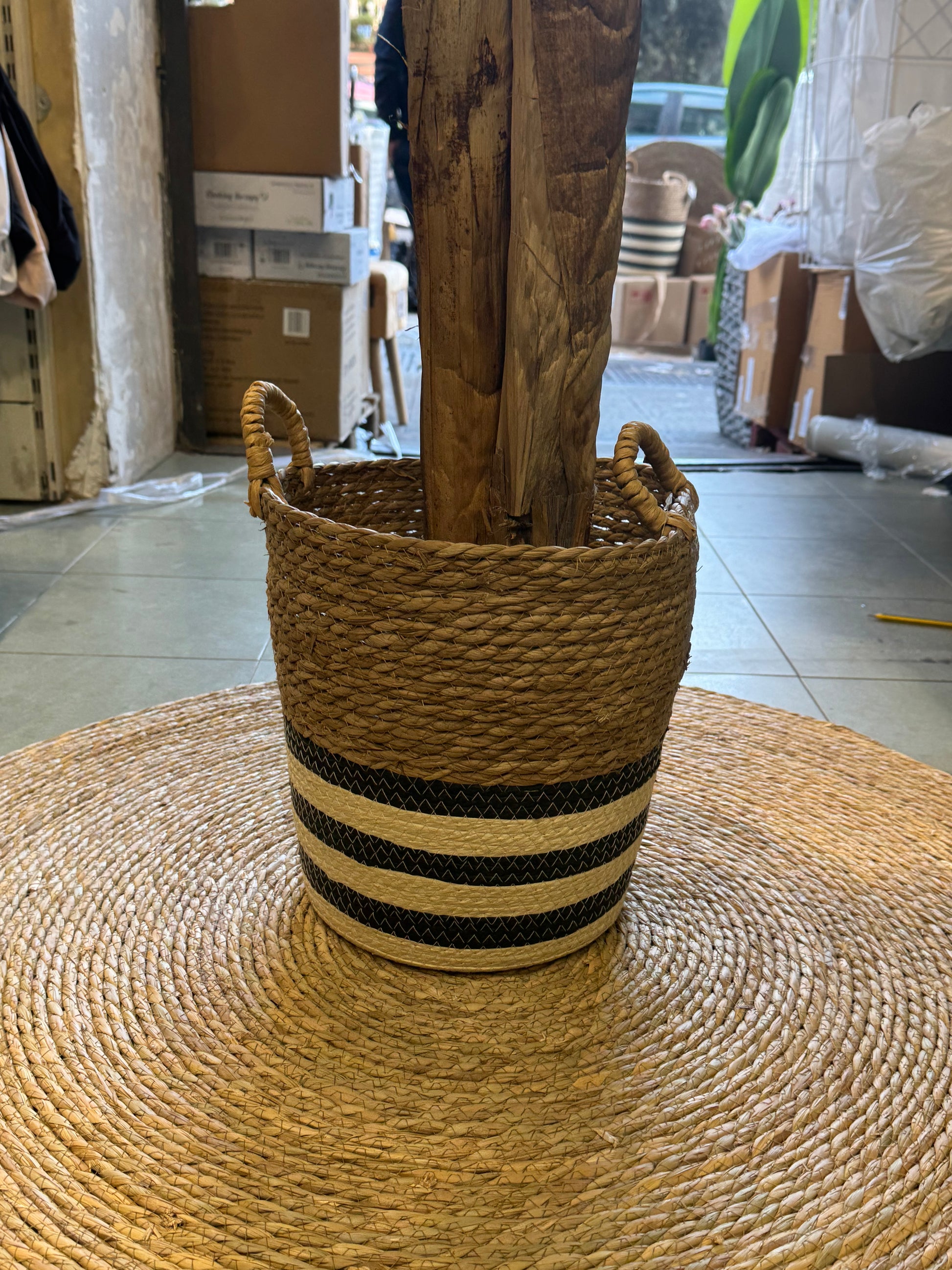Cesta