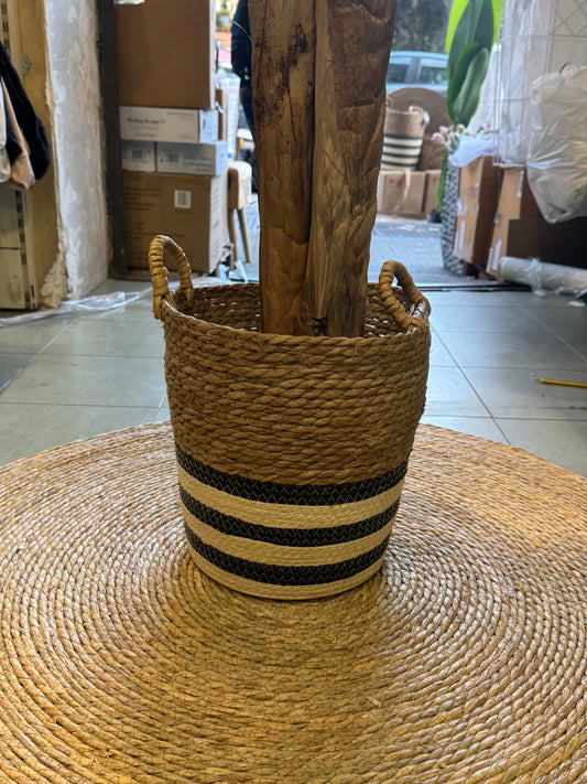 Cesta