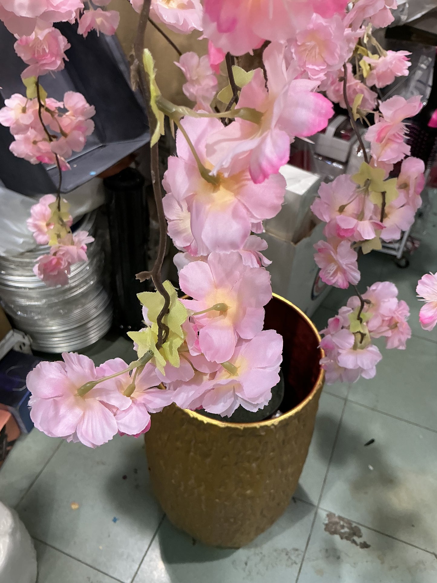 Pianta mandorlo 110 cm vaso escluso