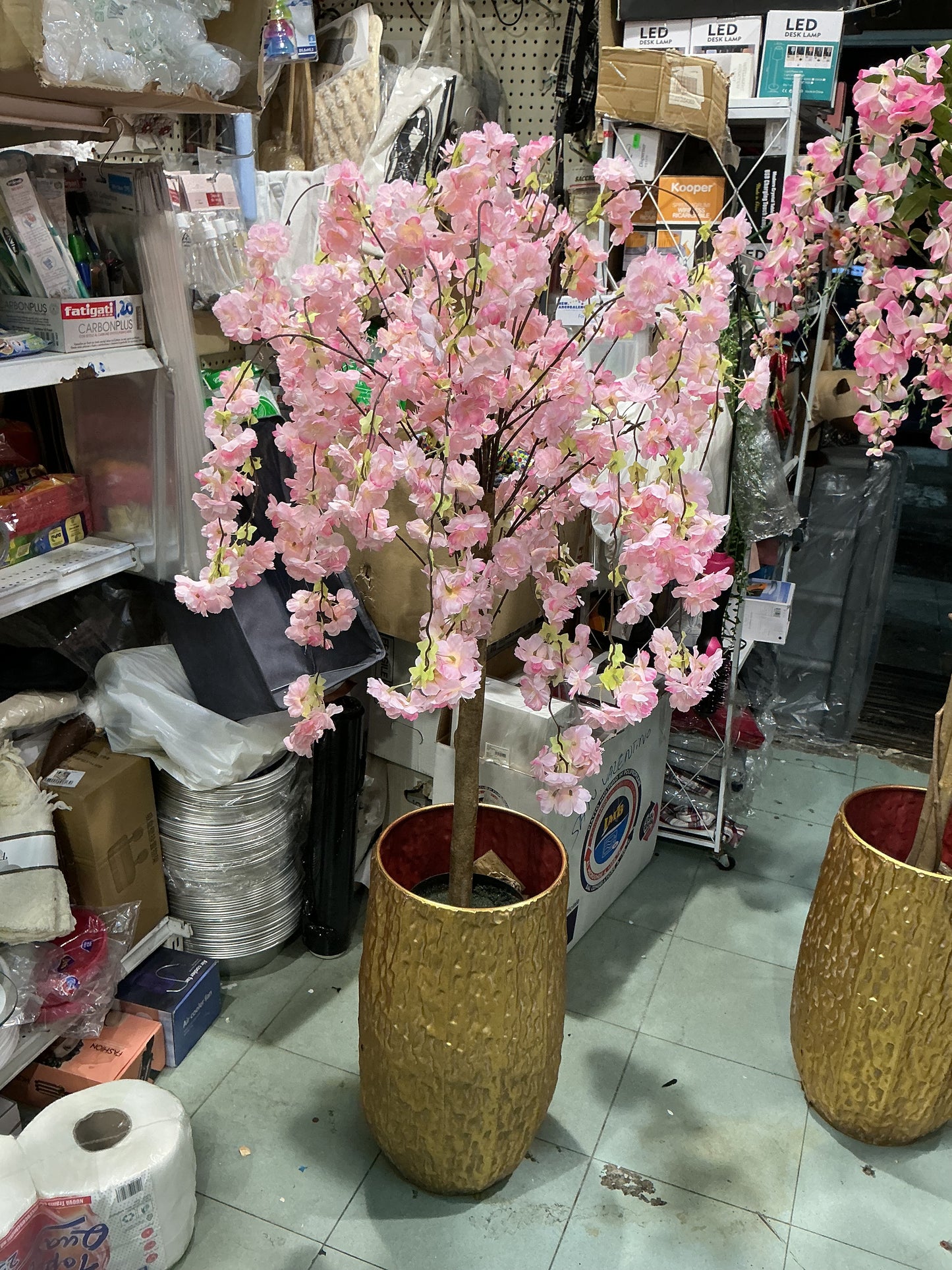 Pianta mandorlo 110 cm vaso escluso