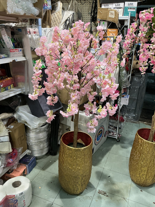 Pianta mandorlo 110 cm vaso escluso