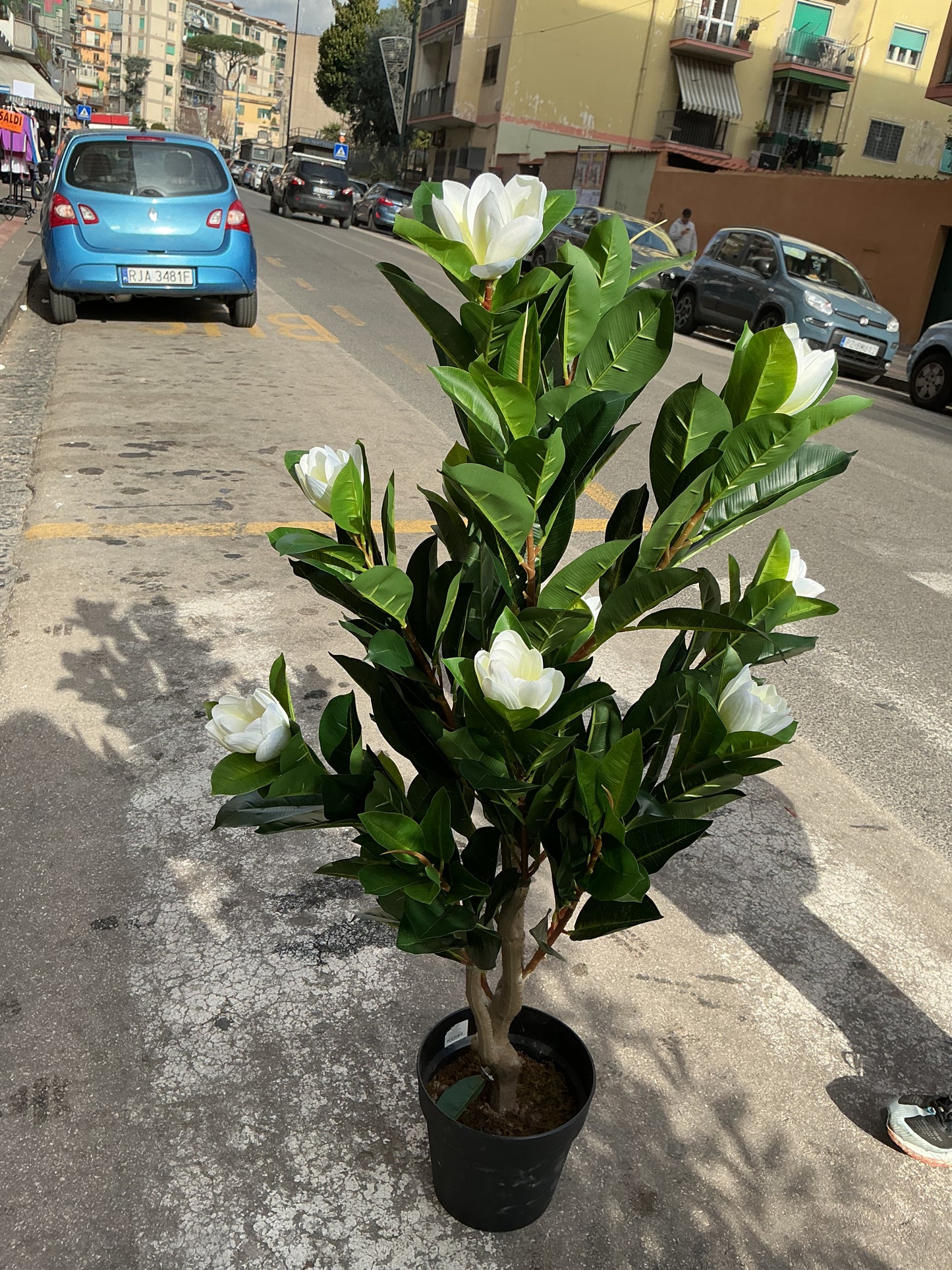 Pianta artificiale di magnolia H. 130 cm