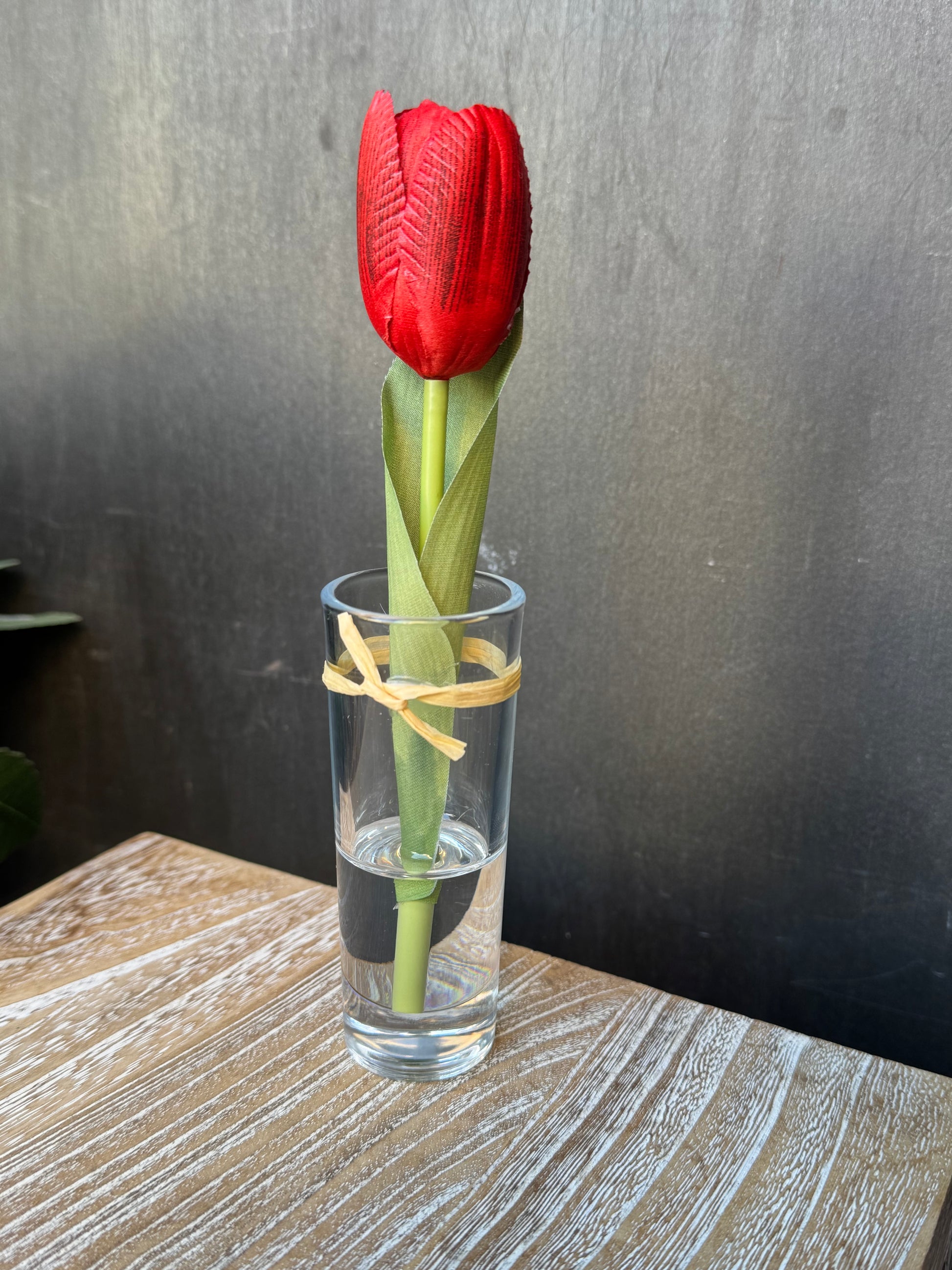 Tulipano