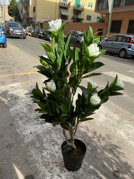 Pianta artificiale di magnolia H. 130 cm
