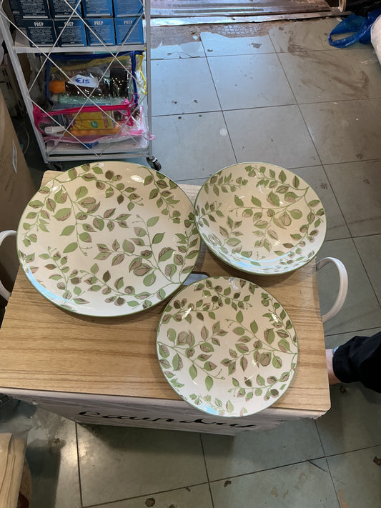 Servizio di piatti verde chiaro