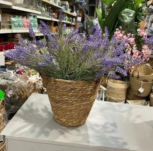 Set 7 lavanda in plastica 33 cm  super reali per decorare la tua casa e i tuoi esterni ma hai la possibilità di acquistare anche il cesto in foto mettiamo tutte 2 opzioni sotto