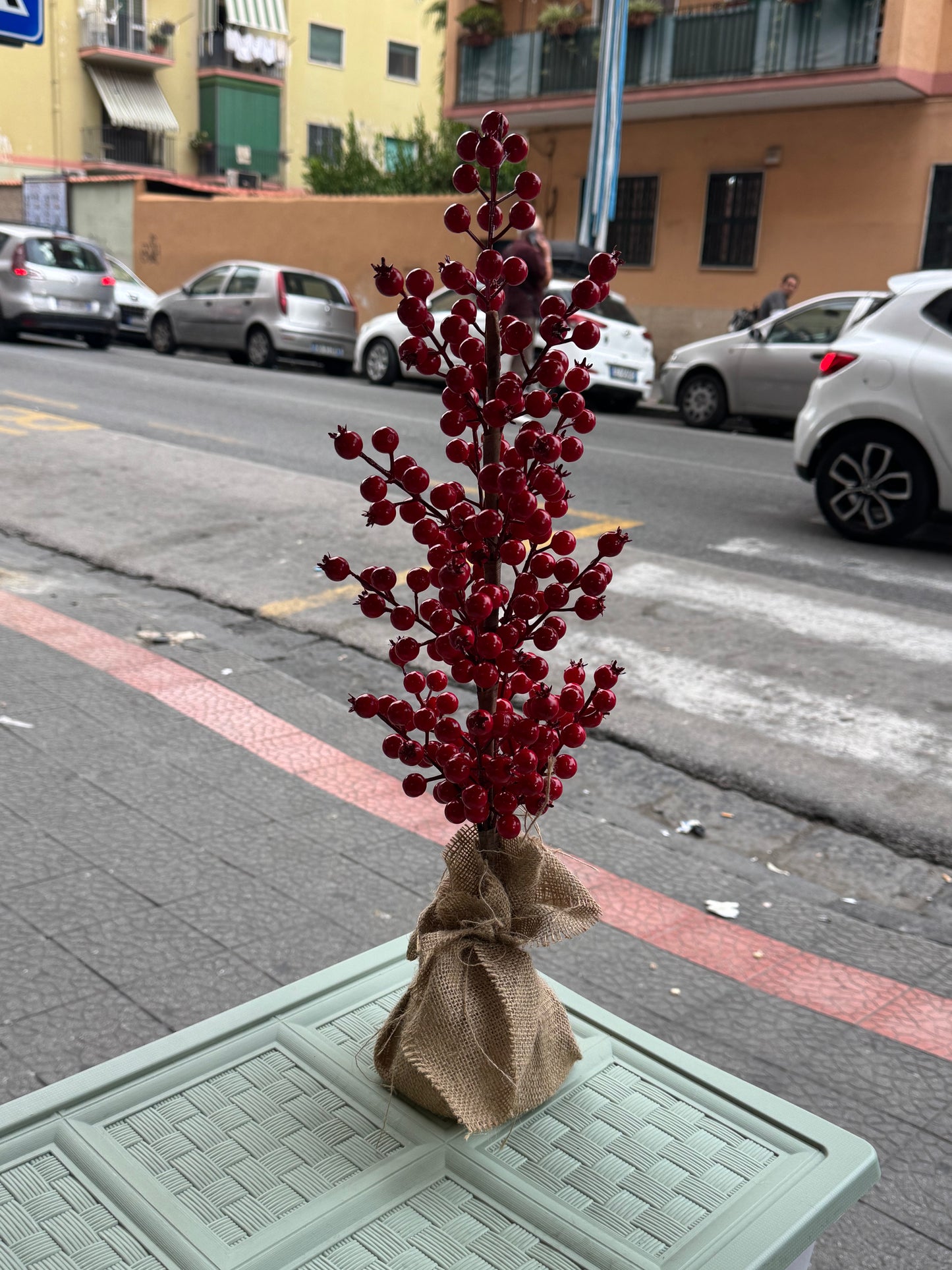 Albero di bacche