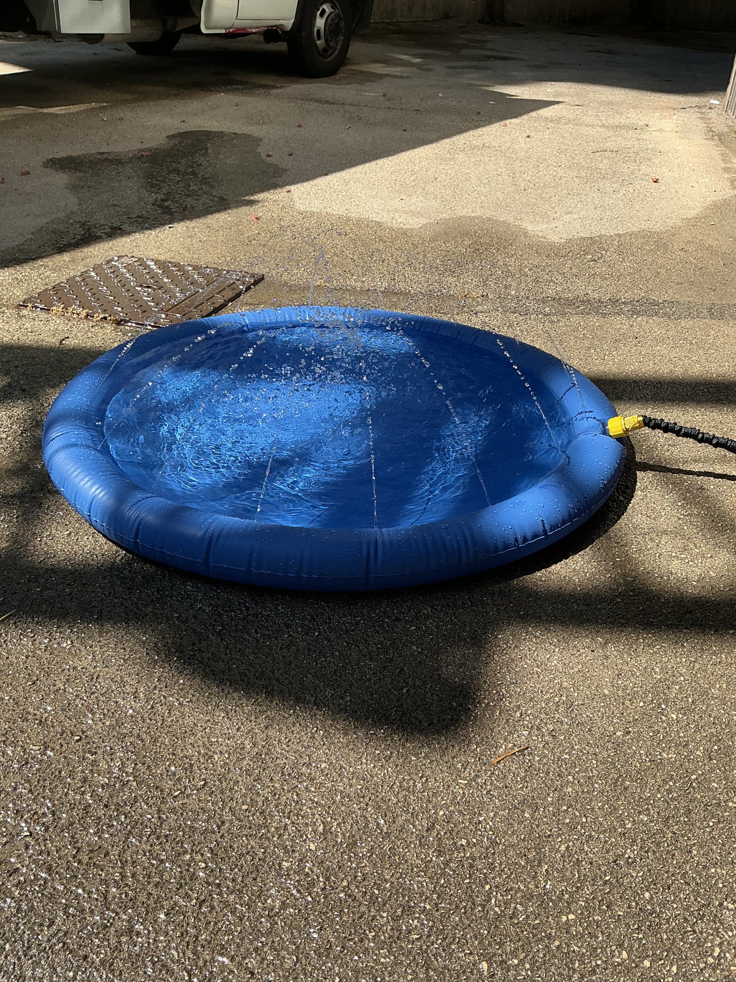 Piscina pet con fontana