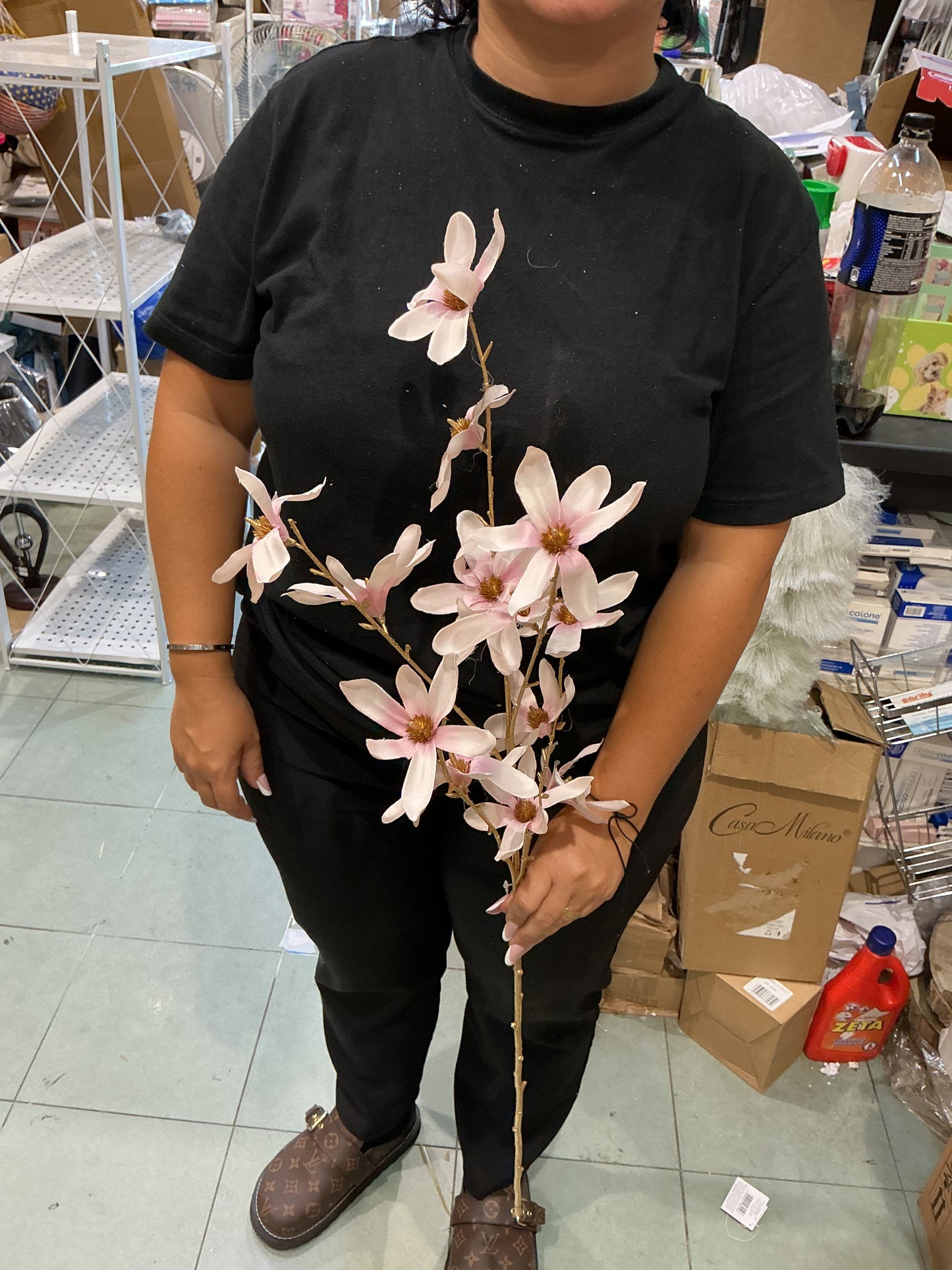 Stelo camelia