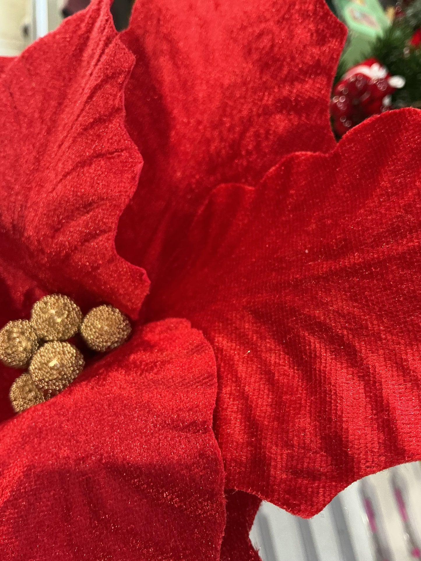 Stella di Natale con pinza