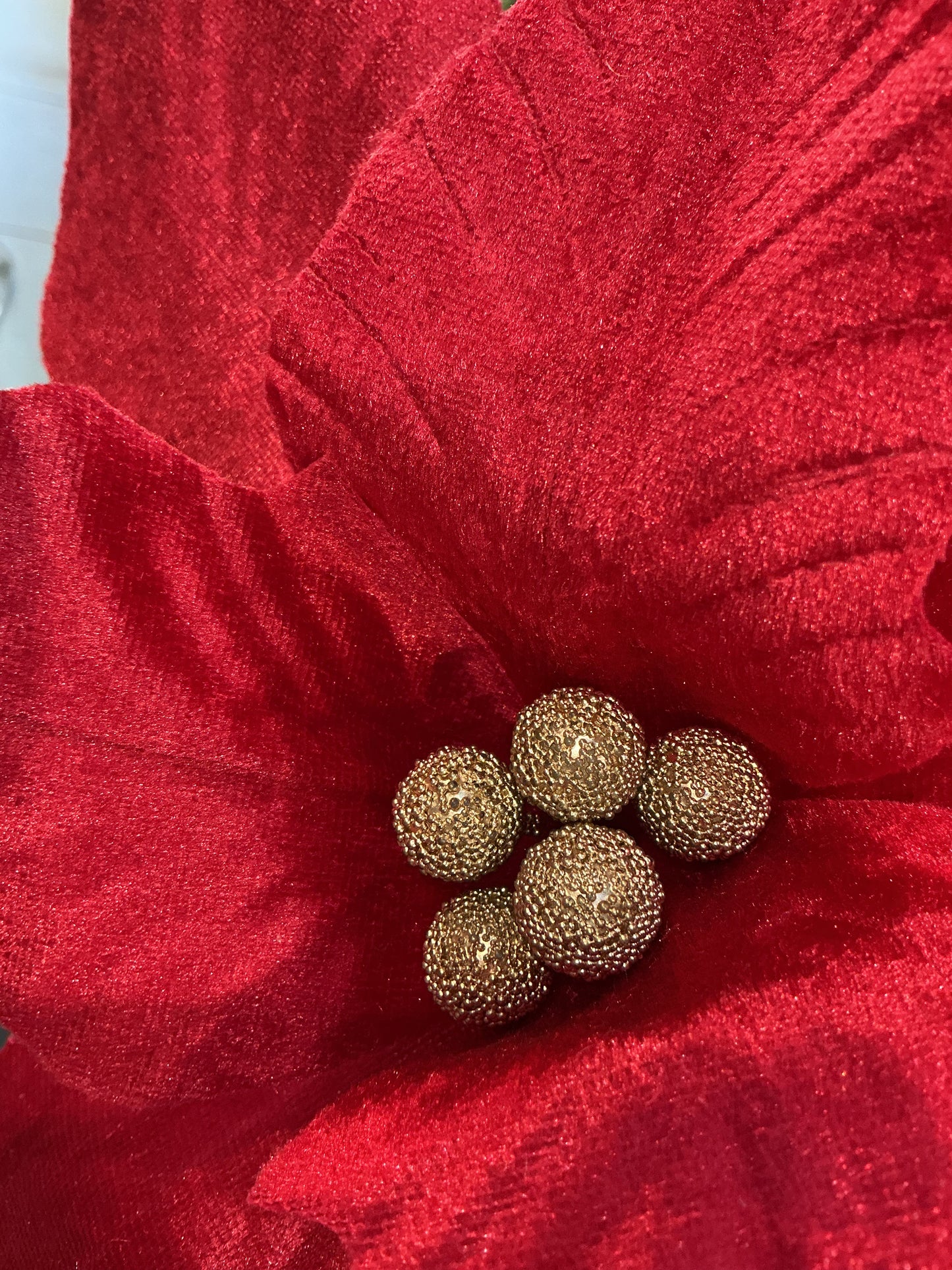 Stella di Natale con pinza