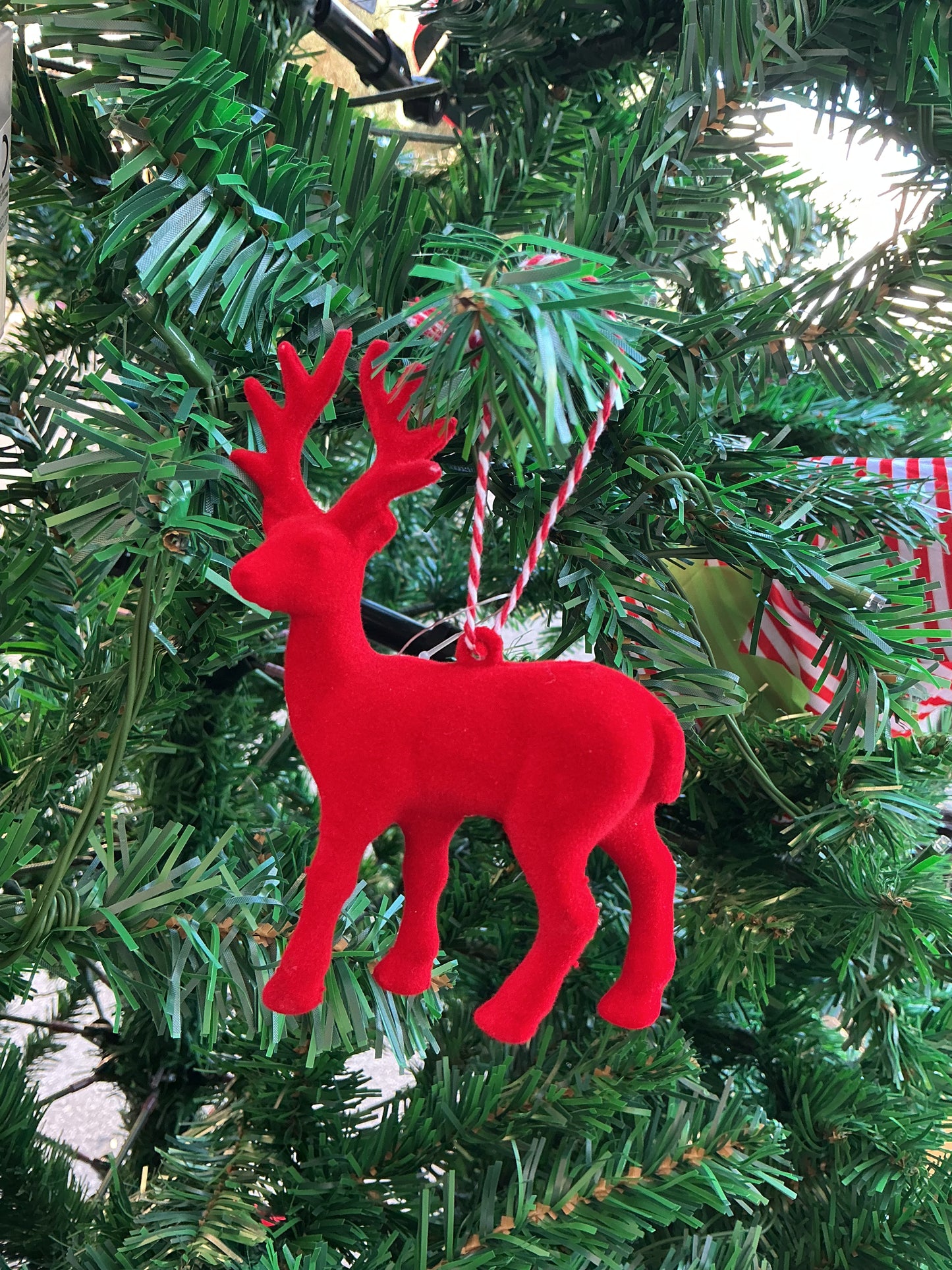 Appendino renna velluto