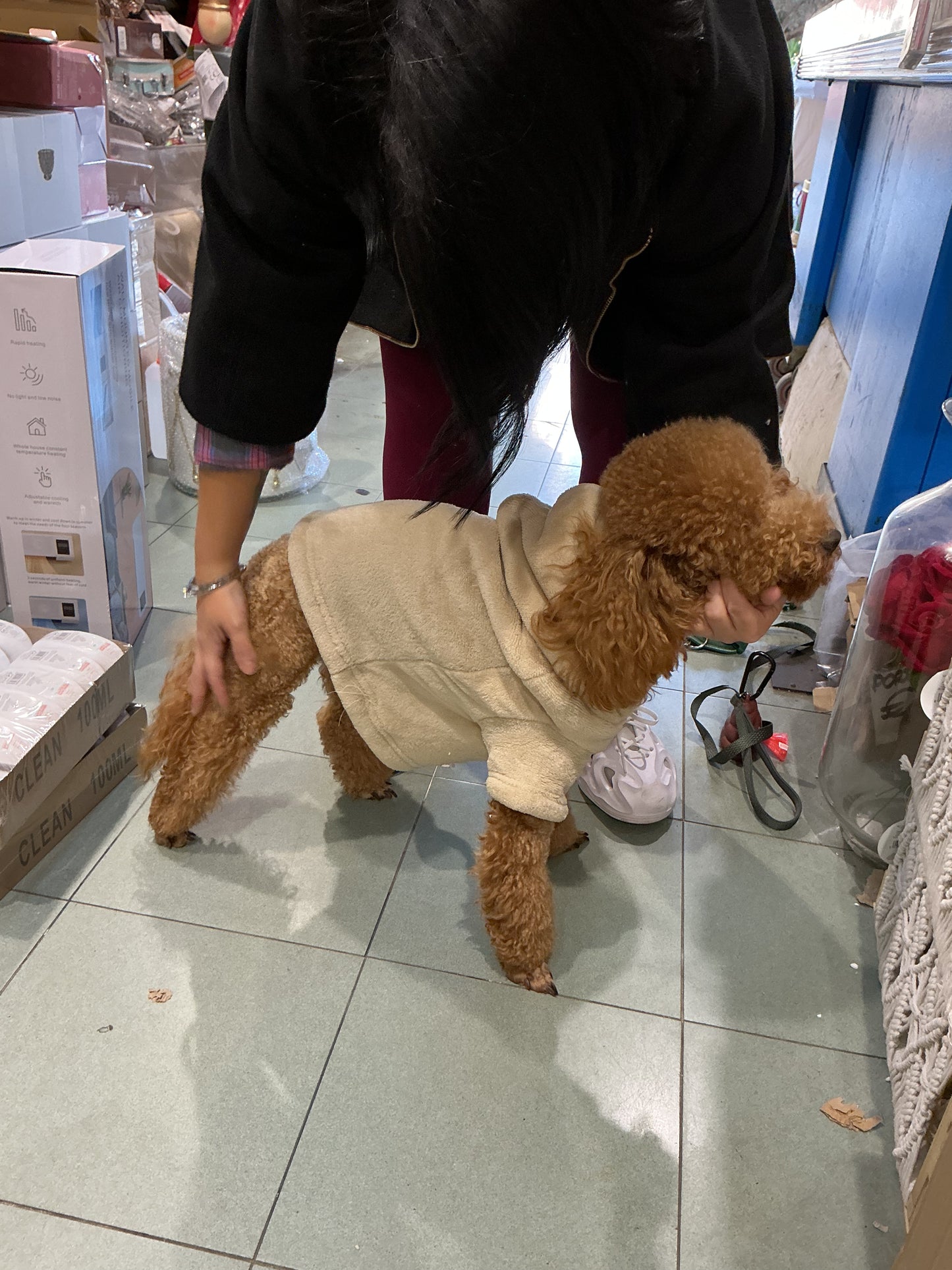 Maglioncino per cani