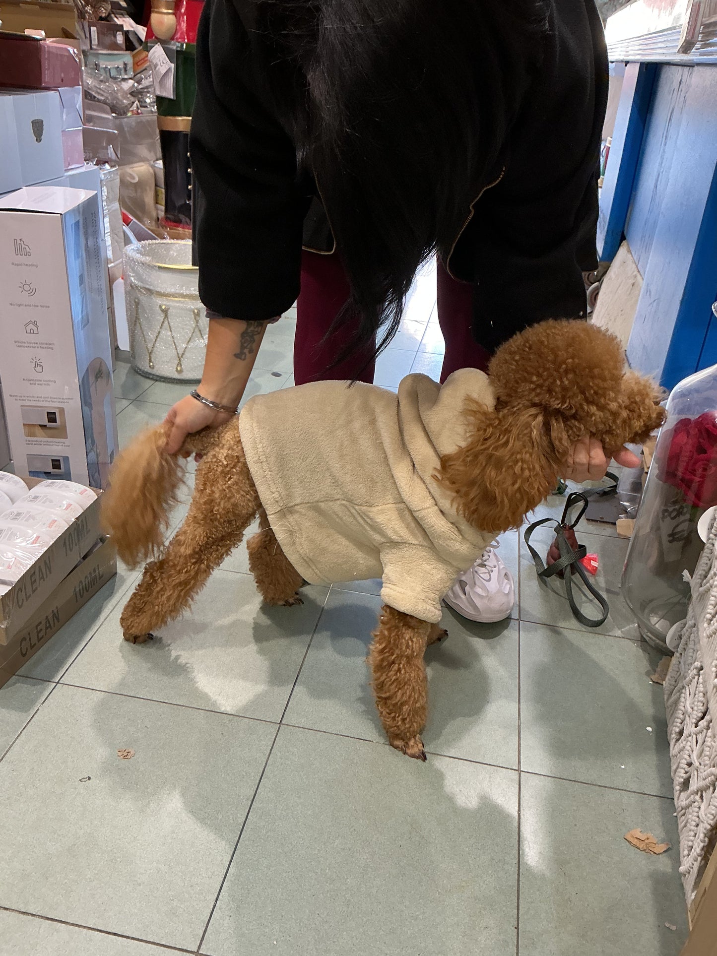 Maglioncino per cani