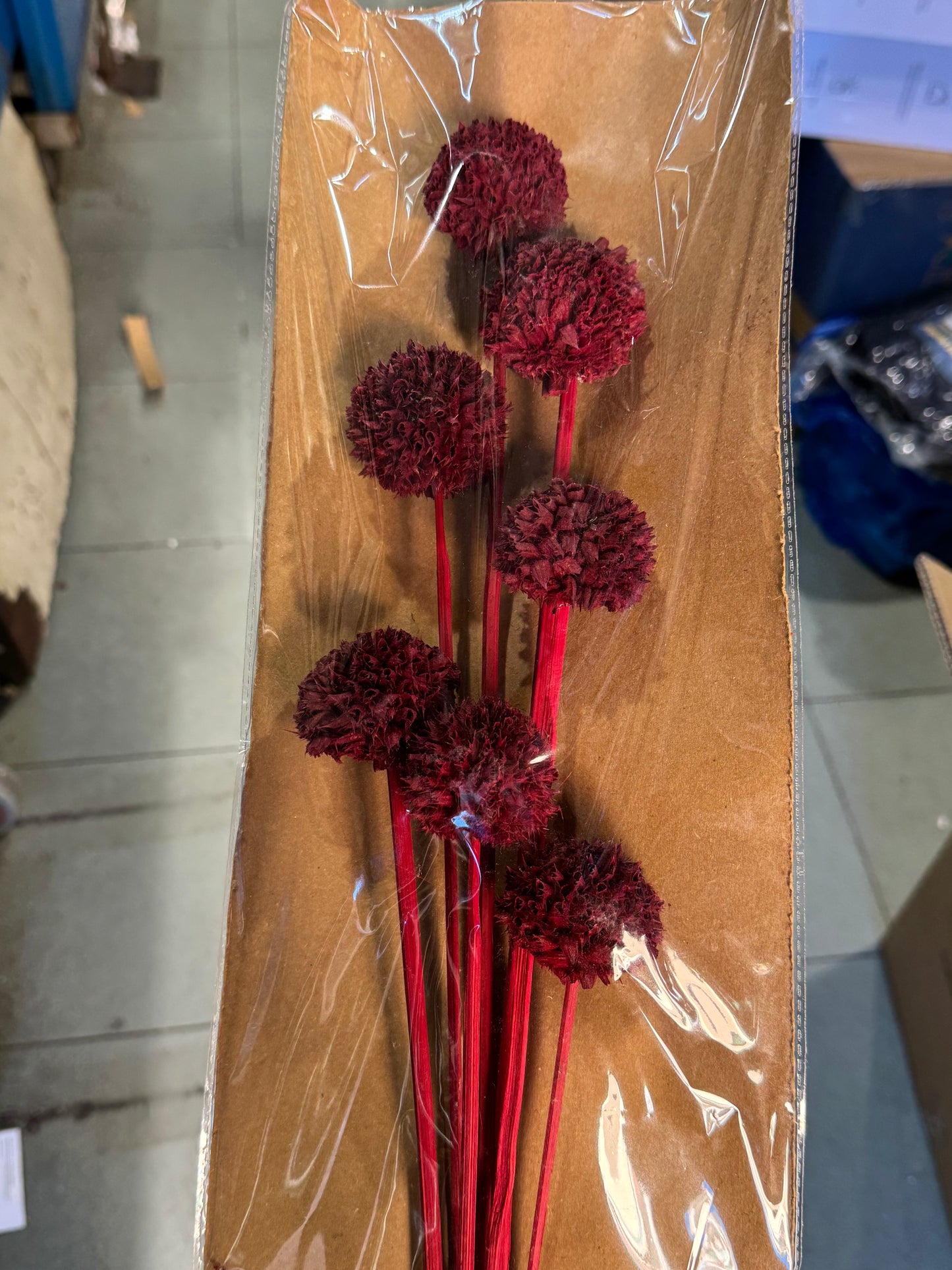 Fiori secchi naturali