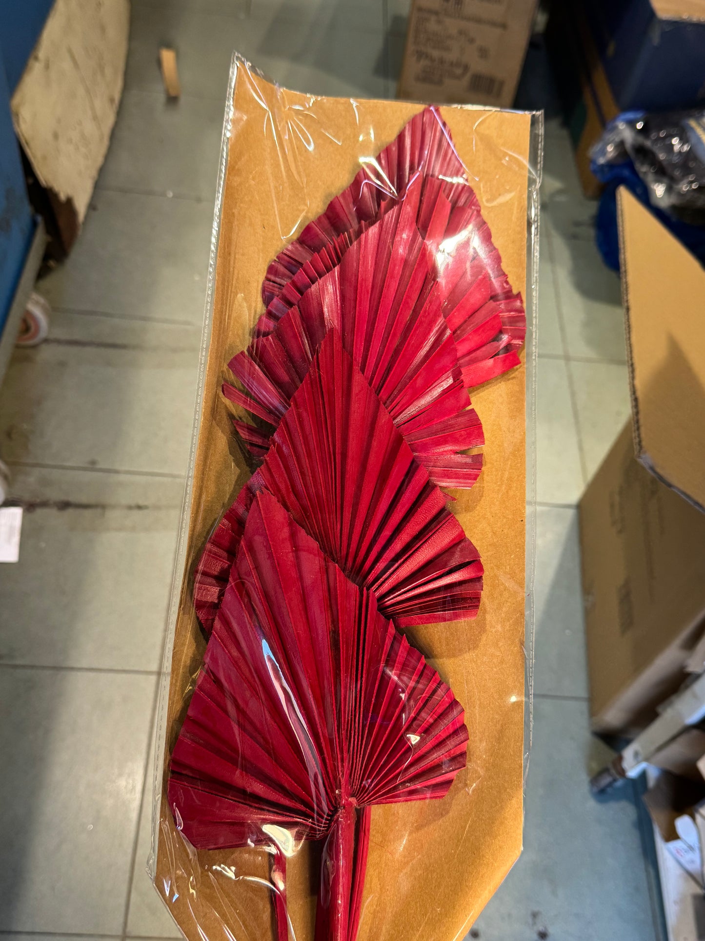 Fiori secchi naturali