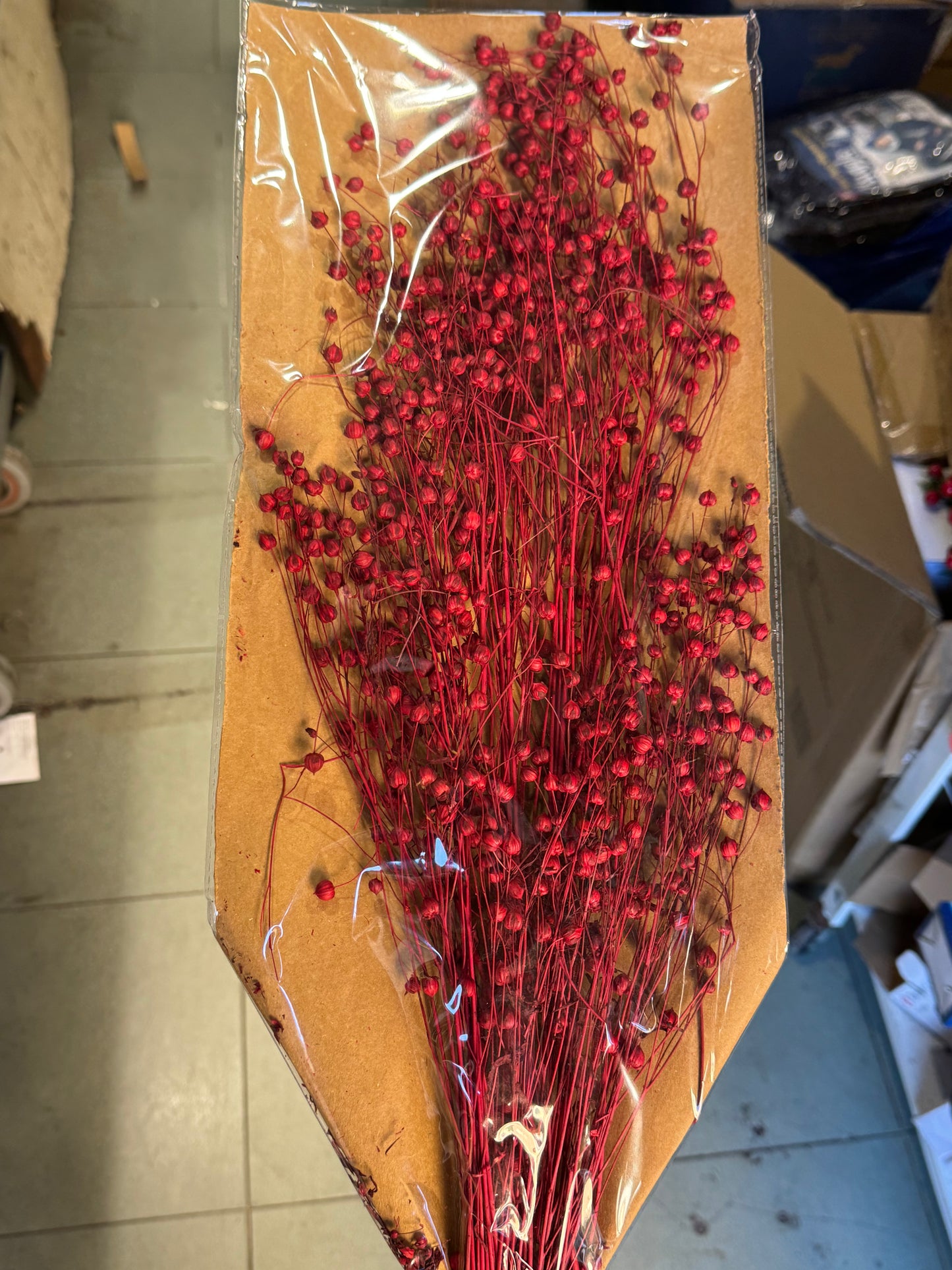 Fiori secchi naturali