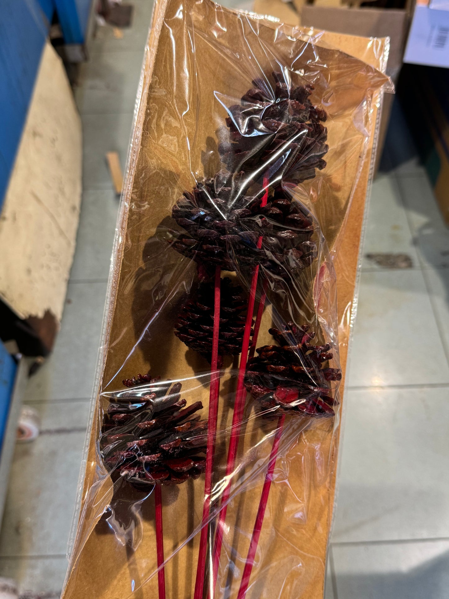 Fiori secchi naturali