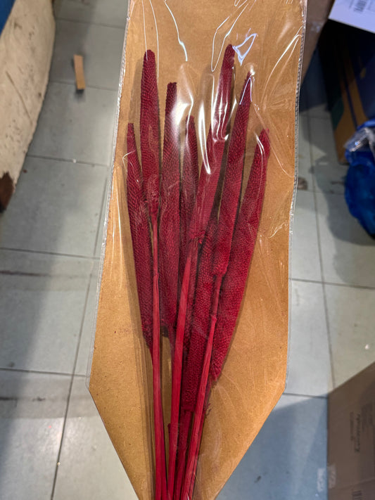 Fiori secchi naturali