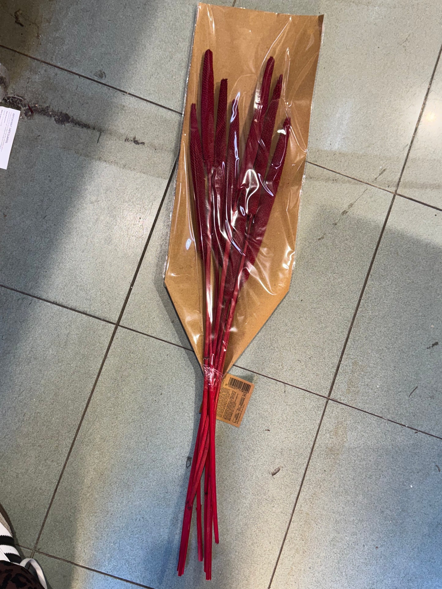 Fiori secchi naturali