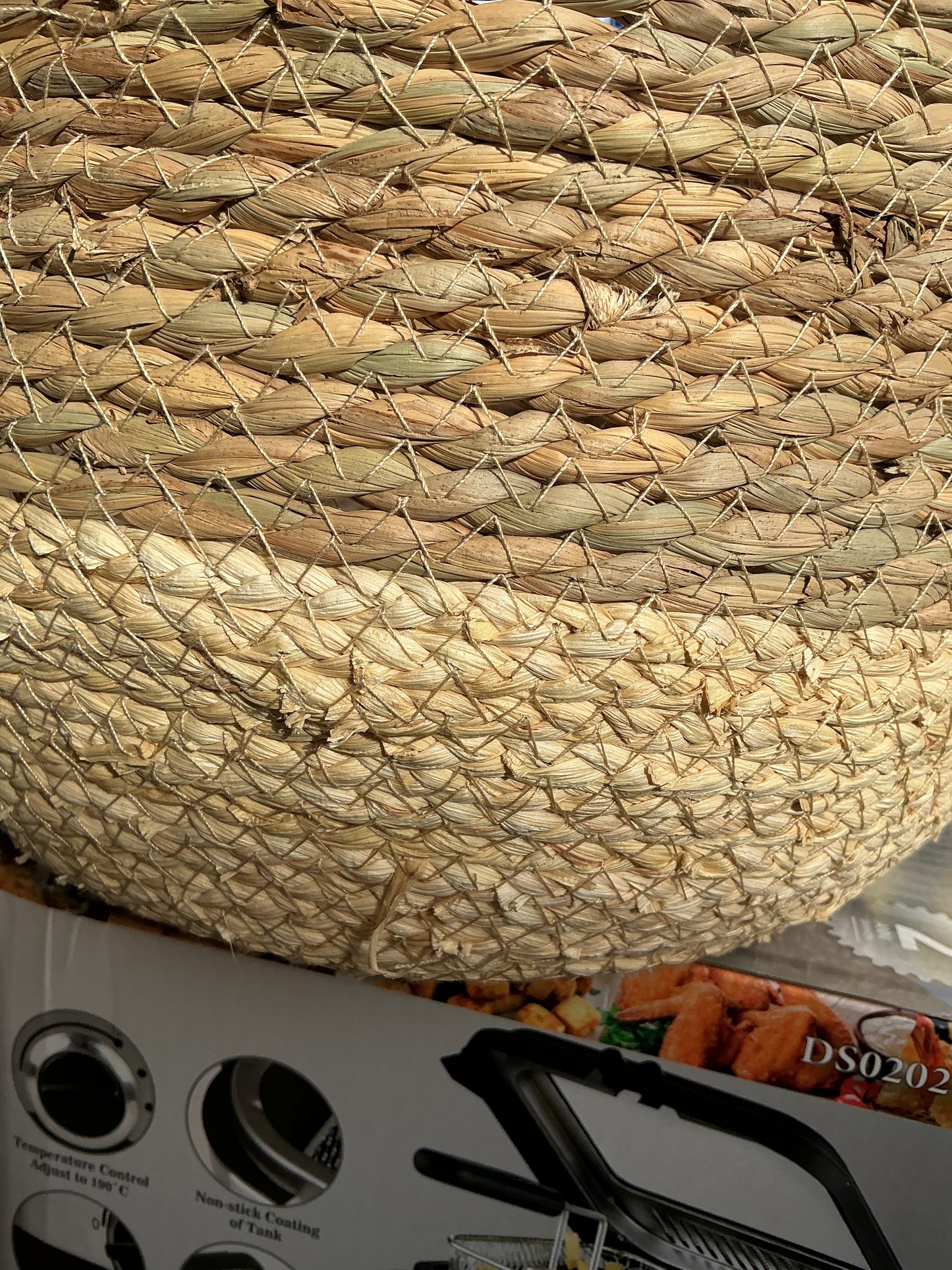 Cesta