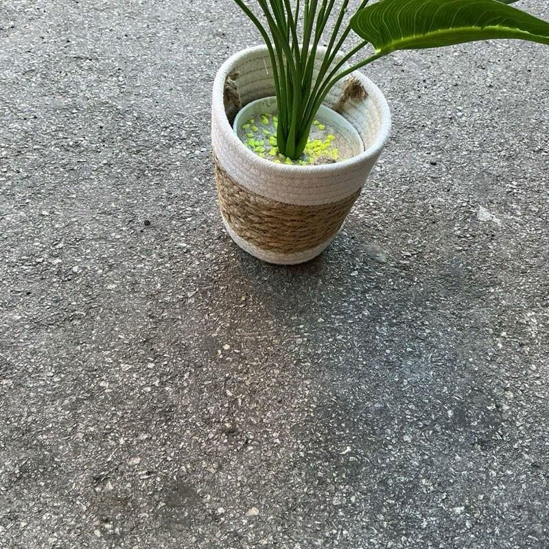 Sterilizza Decorativa Con Vaso In Vimini e Cotone incluso