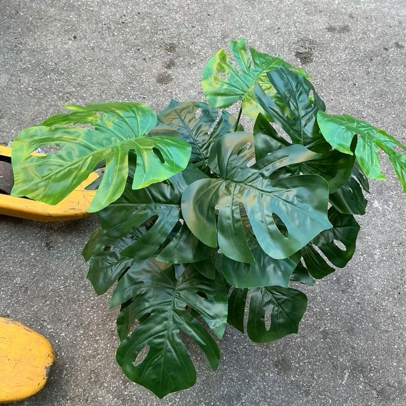 Montera pianta artificiale decorativa di 60 cm con cestino incluso