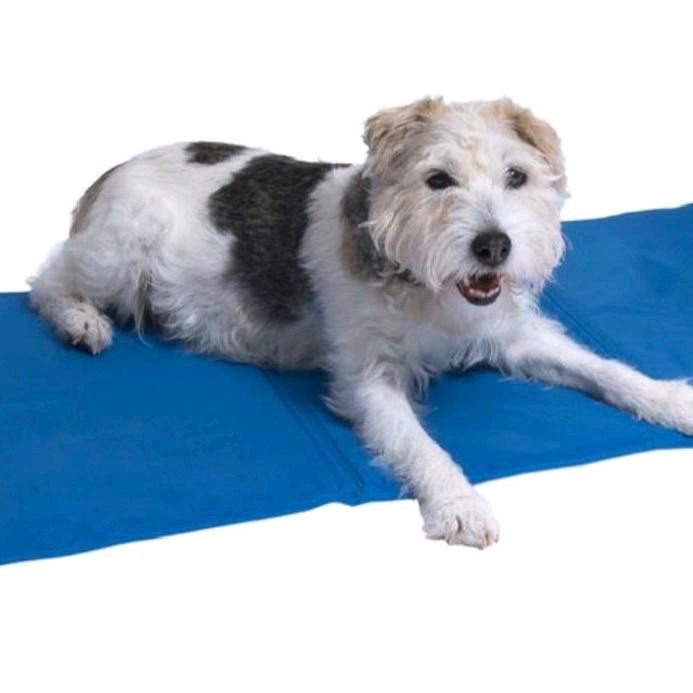 Tappetino rinfrescante per cane e gatti in 3 misure differenti