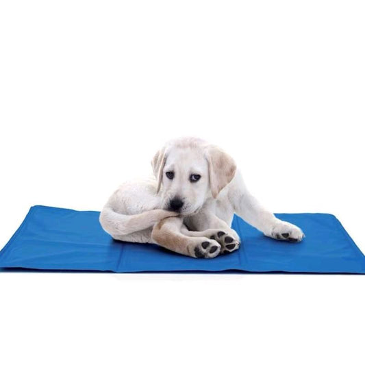 Tappetino rinfrescante per cane e gatti in 3 misure differenti