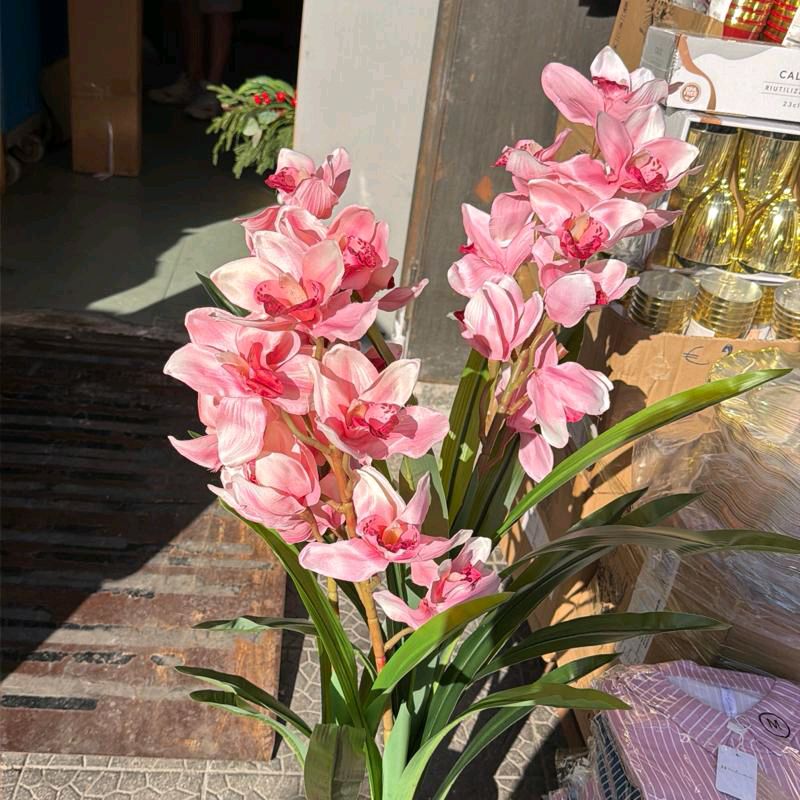 Pianta Orchidea fiori in tessuto110cm